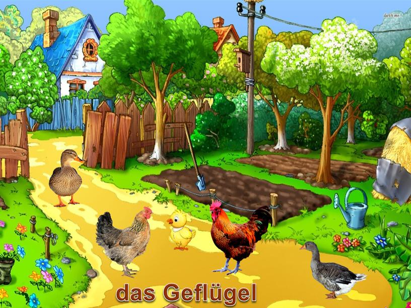 das Geflügel