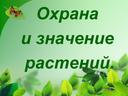 Обложка для материала Охрана и значение  растений.