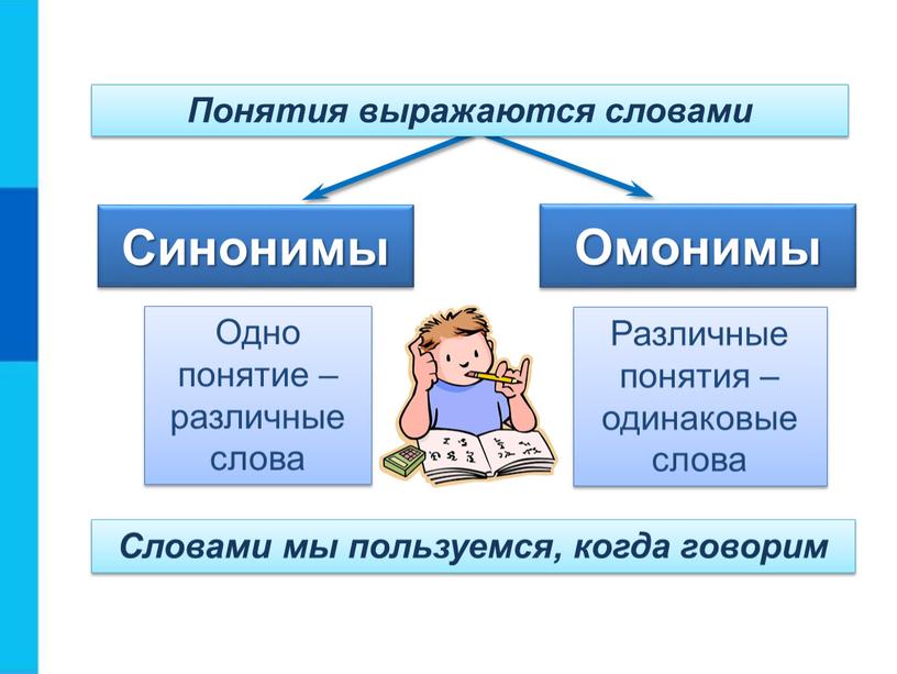 Понятия выражаются словами Синонимы