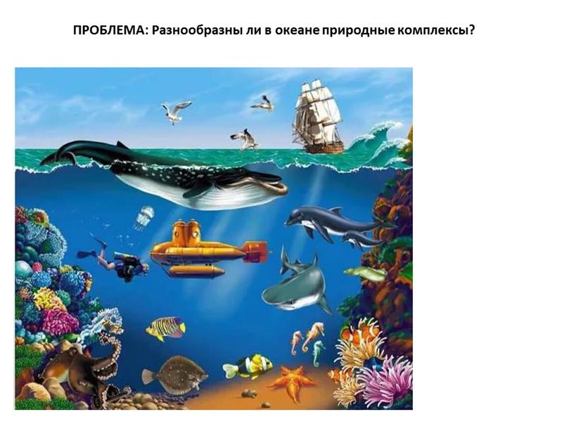 ПРОБЛЕМА: Разнообразны ли в океане природные комплексы?