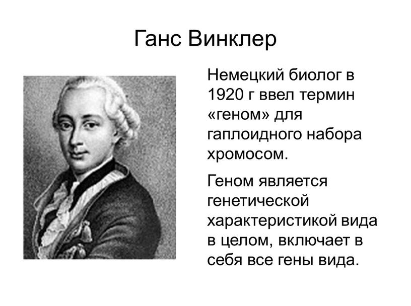 Ганс Винклер Немецкий биолог в 1920 г ввел термин «геном» для гаплоидного набора хромосом