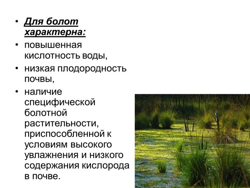 Для болот характерна: повышенная кислотность воды, низкая плодородность почвы, наличие специфической болотной растительности, приспособленной к условиям высокого увлажнения и низкого содержания кислорода в почве