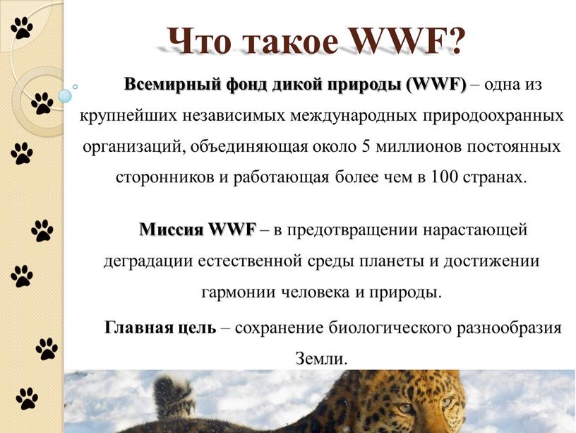 Что такое WWF? Всемирный фонд дикой природы (WWF) – одна из крупнейших независимых международных природоохранных организаций, объединяющая около 5 миллионов постоянных сторонников и работающая более…