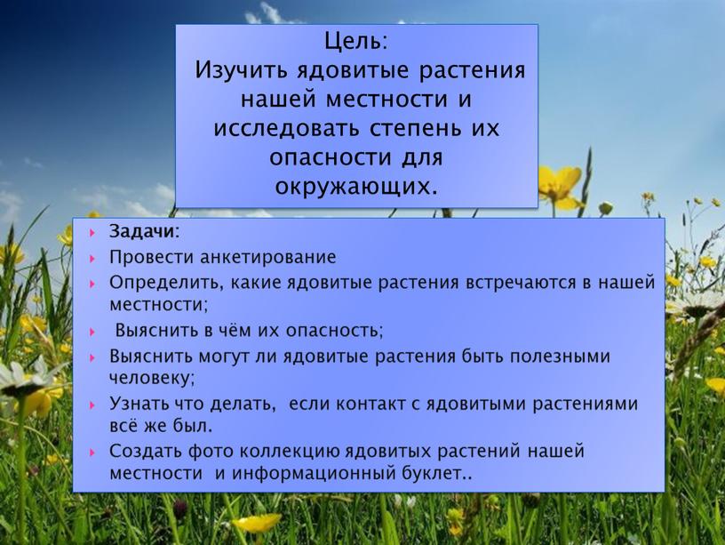 Цель: Изучить ядовитые растения нашей местности и исследовать степень их опасности для окружающих