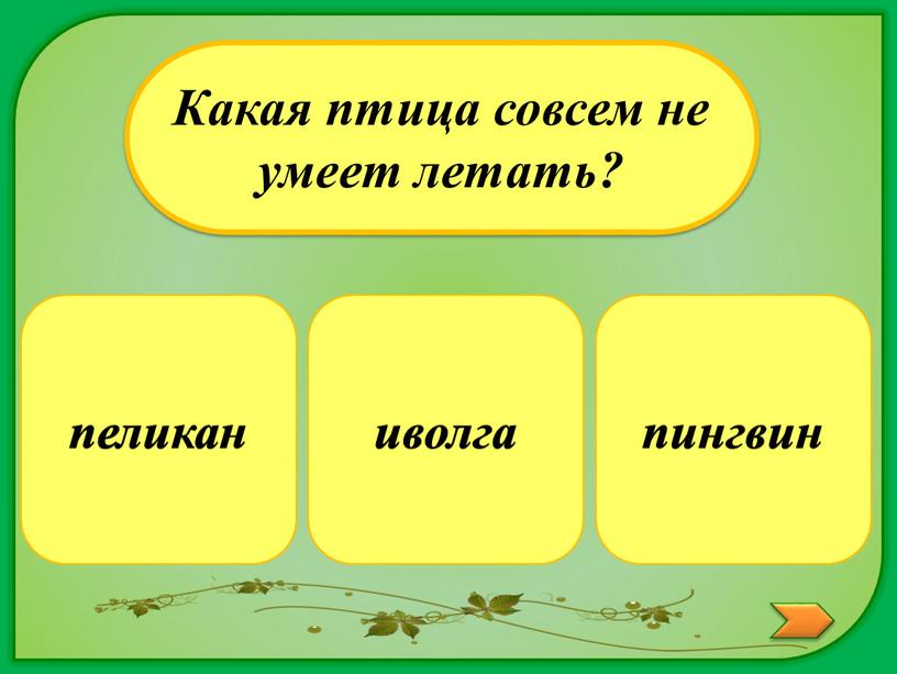 Какая птица совсем не умеет летать? иволга пеликан