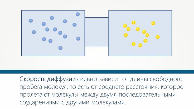 Скорость диффузии сильно зависит от длины свободного пробега молекул, то есть от среднего расстояния, которое пролетают молекулы между двумя последовательными соударениями с другими молекулами