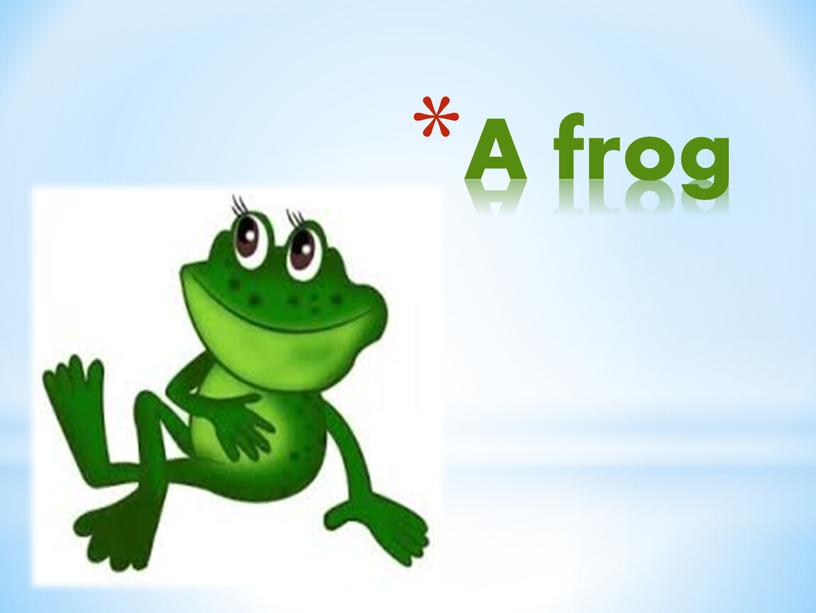 A frog