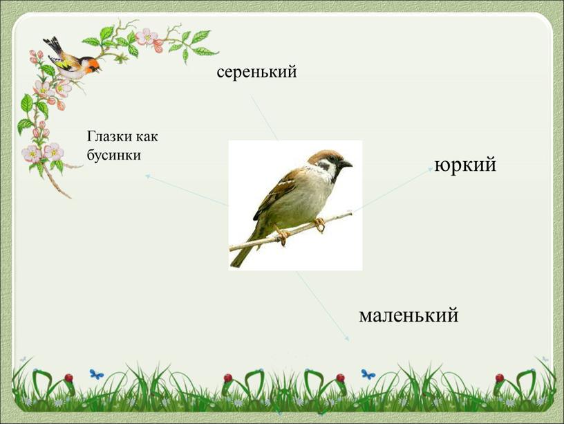 серенький юркий Глазки как бусинки маленький