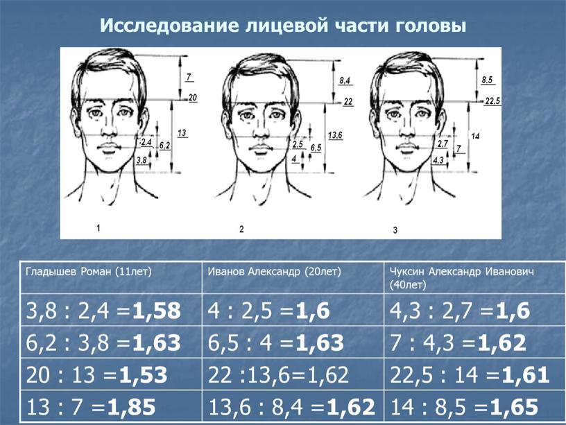 Исследование лицевой части головы