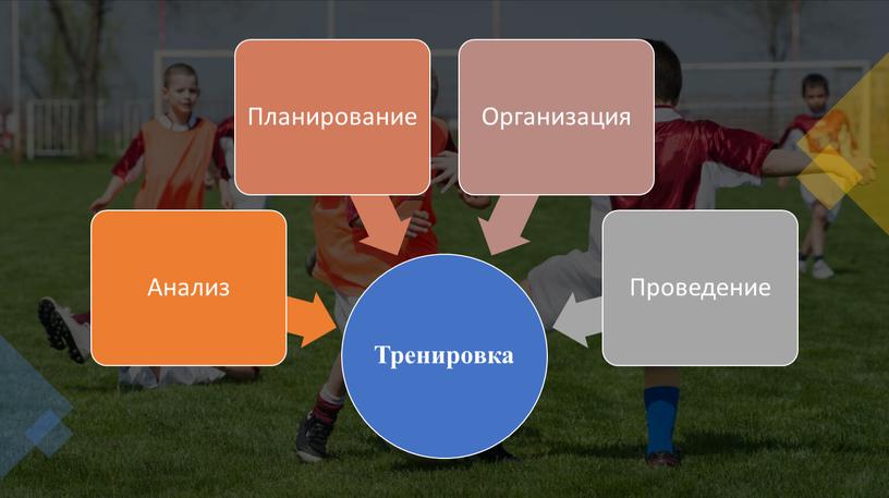 Структура учебно тренировочного занятия с порт-кружках и секциях(футбол)