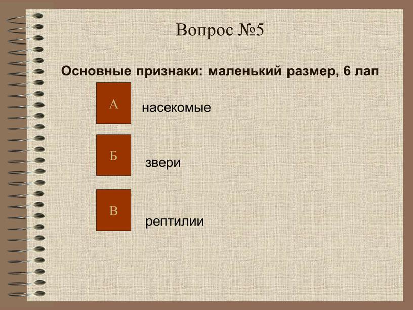 Вопрос №5 Основные признаки: маленький размер, 6 лап насекомые звери рептилии