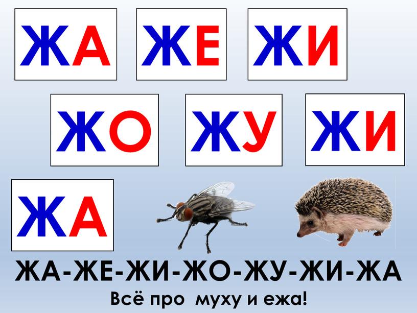 ЖА-ЖЕ-ЖИ-ЖО-ЖУ-ЖИ-ЖА Всё про муху и ежа!