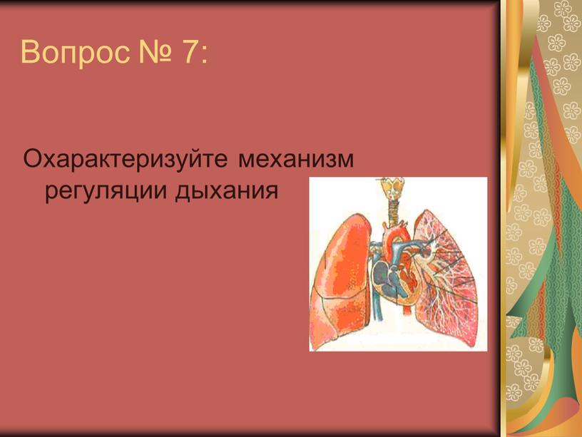 Вопрос № 7: Охарактеризуйте механизм регуляции дыхания