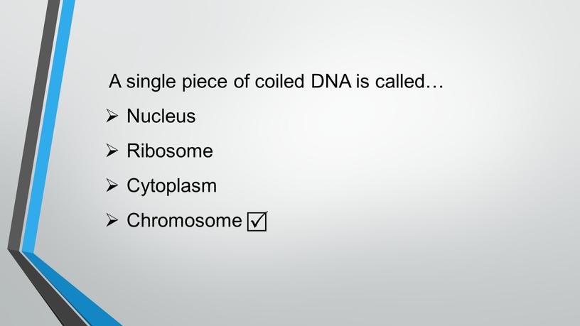 A single piece of coiled DNA is called…