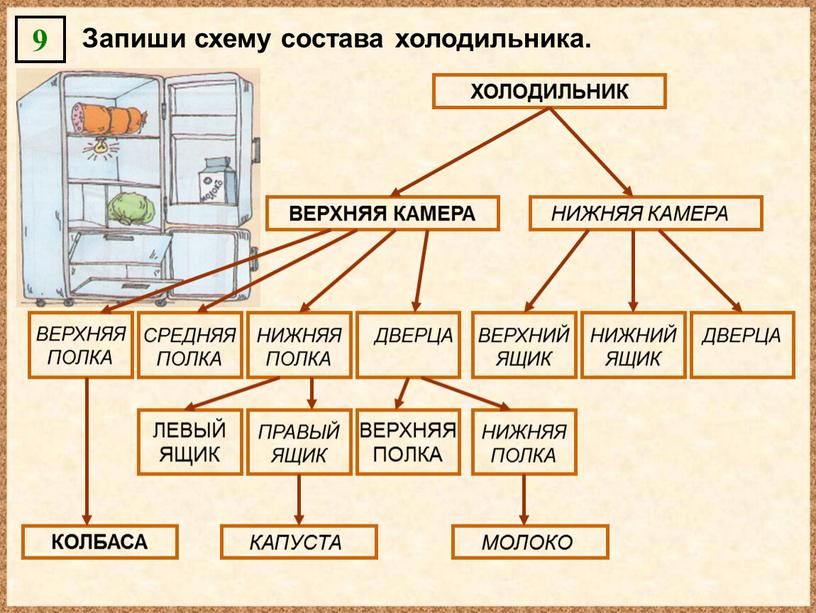 Запиши схему состава холодильника