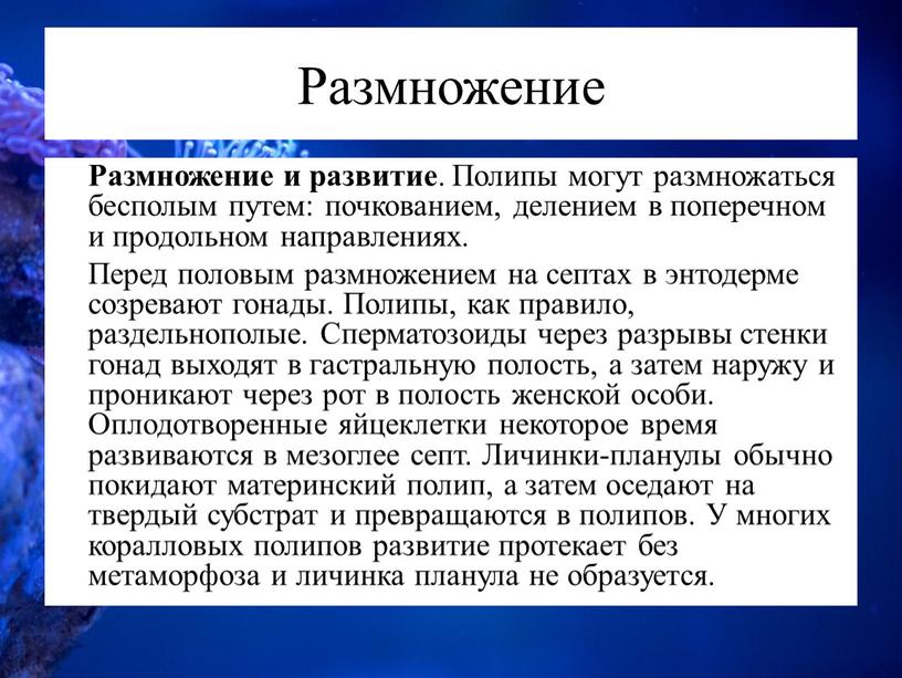 Размножение Размножение и развитие