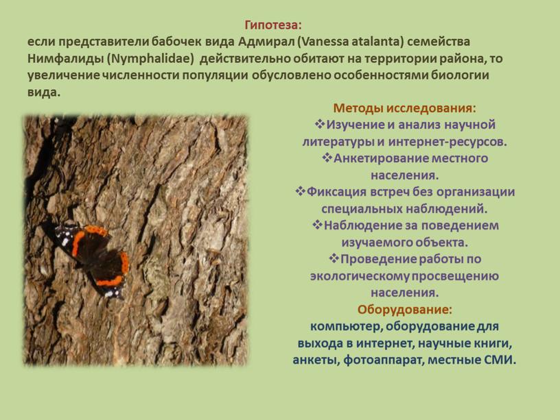 Гипотеза: если представители бабочек вида