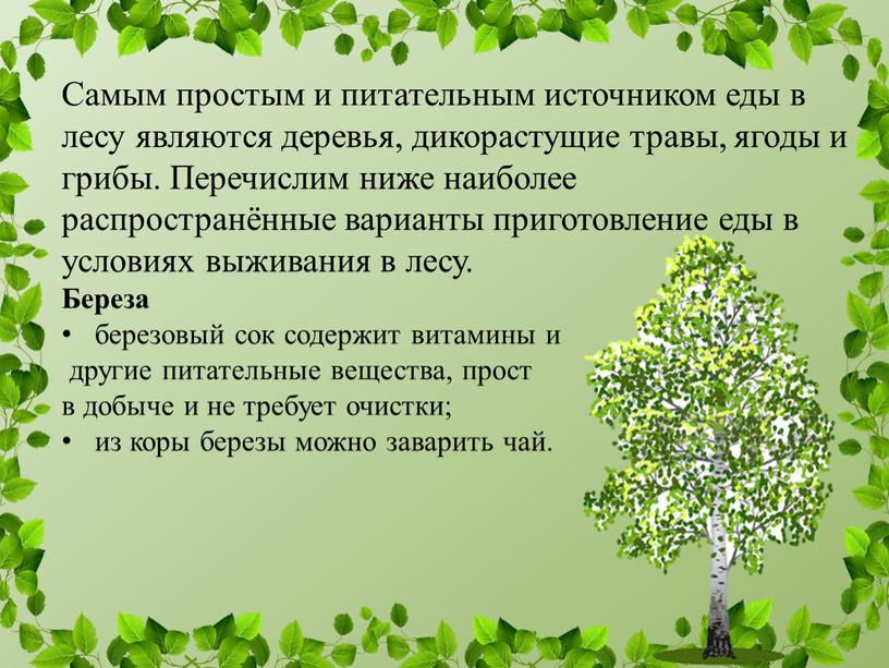 Самым простым и питательным источником еды в лесу являются деревья, дикорастущие травы, ягоды и грибы