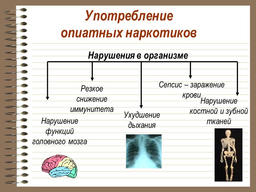 Употребление опиатных наркотиков