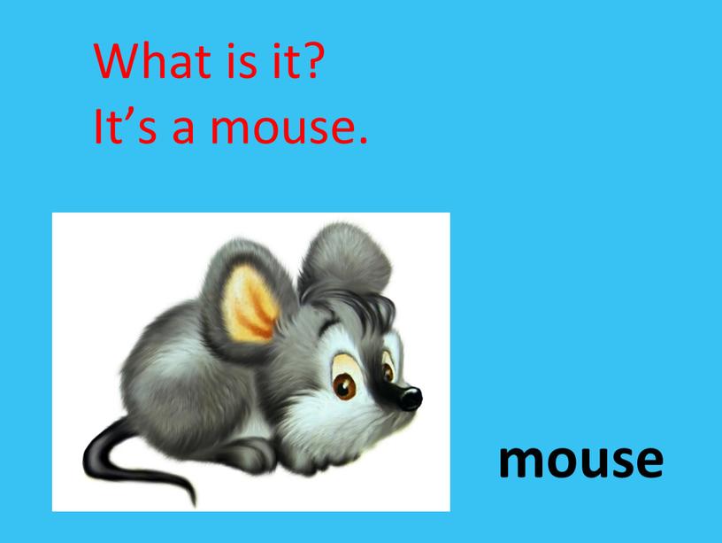 mouse What is it? It’s a mouse.