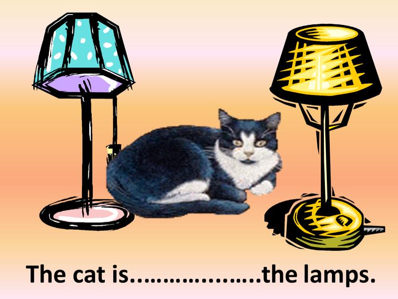 The cat is..………....…..the lamps