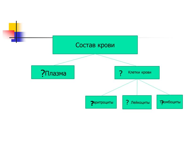 Форменные элементы Состав крови ?