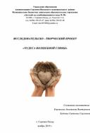 Обложка для материала ИССЛЕДОВАТЕЛЬСКО - ТВОРЧЕСКИЙ ПРОЕКТ  «ЧУДЕСА ВОЛШЕБНОЙ ГЛИНЫ»