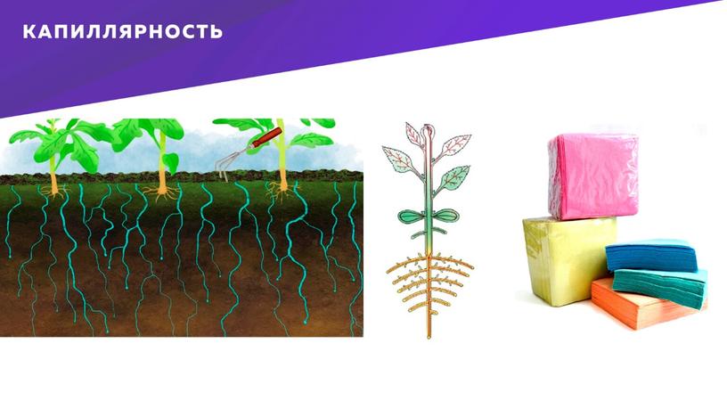 Презентация "Вода в природе и жизни человека"