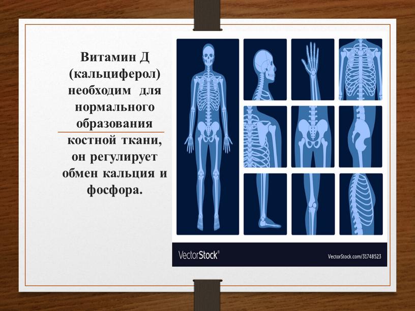 Витамин Д (кальциферол) необходим для нормального образования костной ткани, он регулирует обмен кальция и фосфора