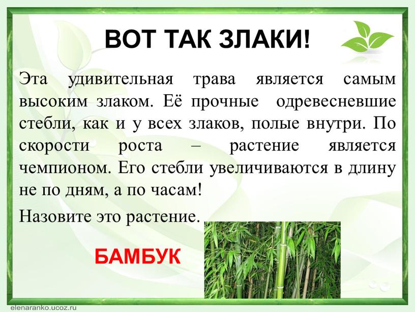 Какая нить в природе самая тонкая. Смотреть фото Какая нить в природе самая тонкая. Смотреть картинку Какая нить в природе самая тонкая. Картинка про Какая нить в природе самая тонкая. Фото Какая нить в природе самая тонкая