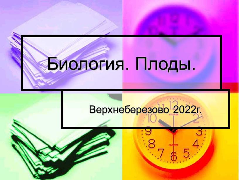 Биология. Плоды. Верхнеберезово 2022г