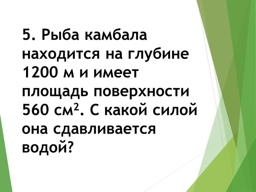 Рыба камбала находится на глубине 1200 м и имеет площадь поверхности 560 см2