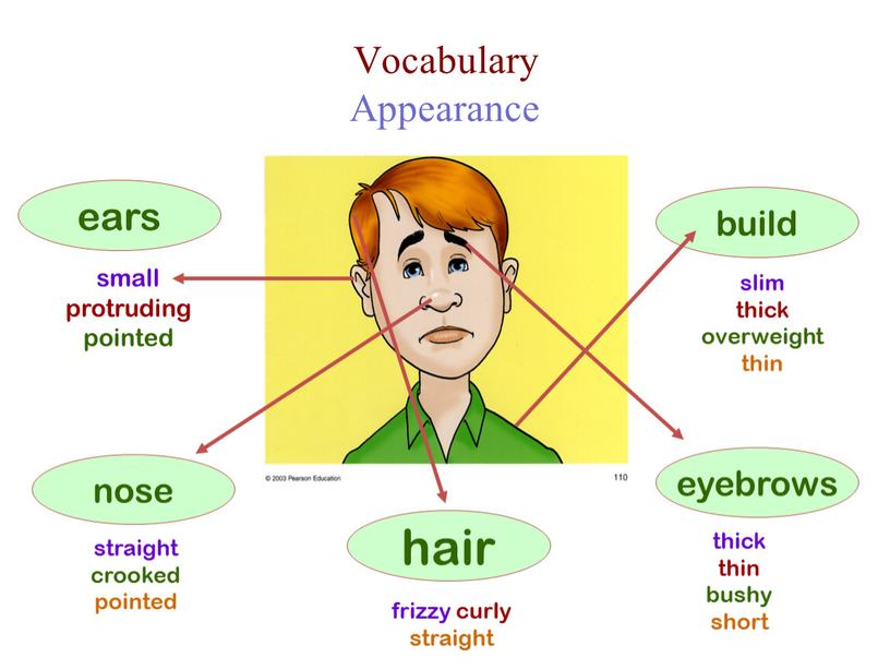 Vocabulary Appearance ears small protruding pointed nose straight crooked pointed hair frizzy curly straight eyebrows thick thin bushy short build slim thick overweight thin