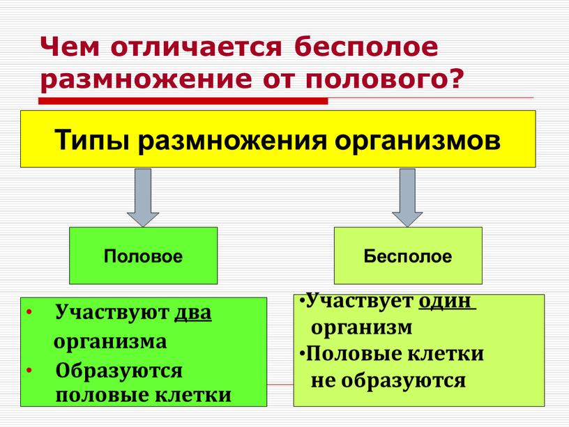 Чем отличается бесполое размножение от полового?