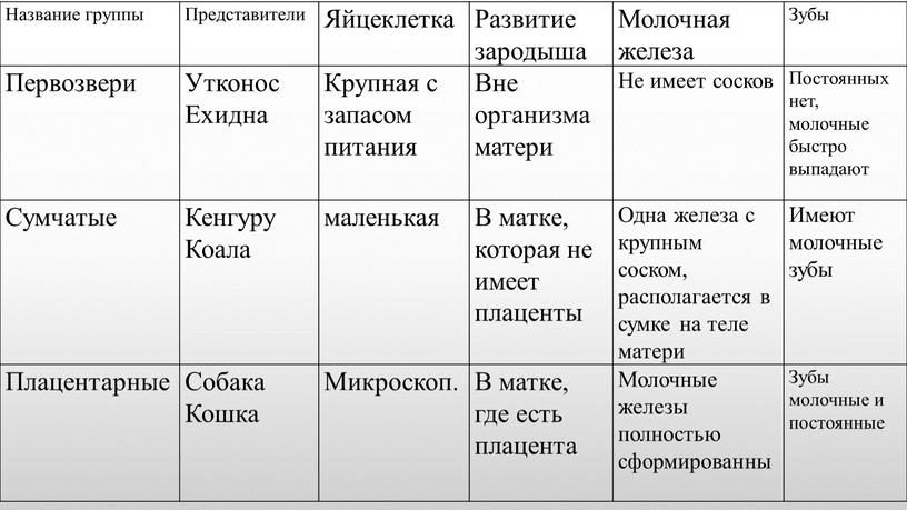 Название группы Представители Яйцеклетка