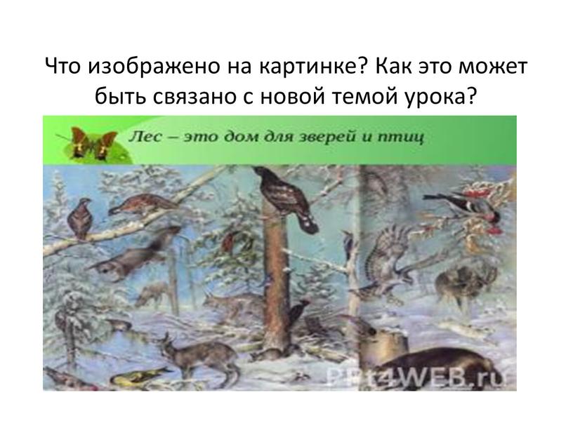 Что изображено на картинке? Как это может быть связано с новой темой урока?