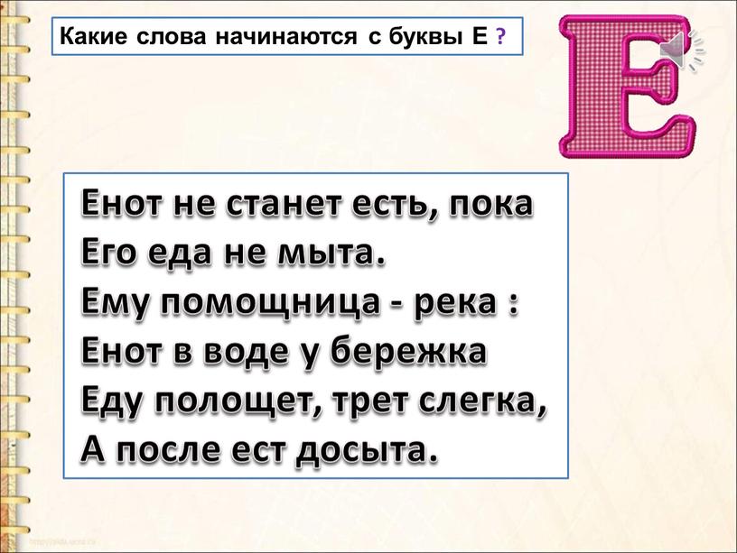 Енот не станет есть, пока Его еда не мыта