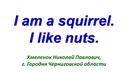 I am a squirrel. I like nuts