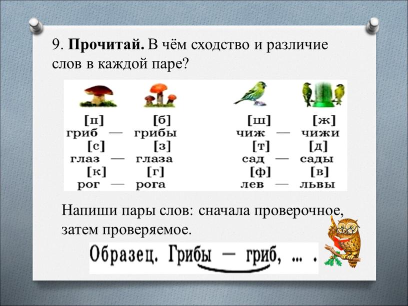 Прочитай. В чём сходство и различие слов в каждой паре?