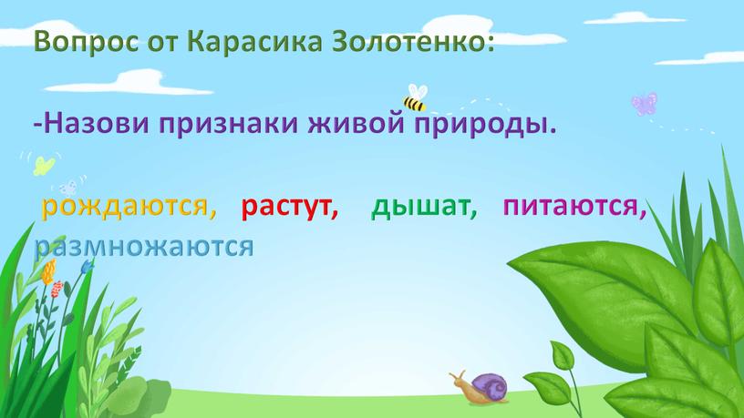 Вопрос от Карасика Золотенко: -Назови признаки живой природы