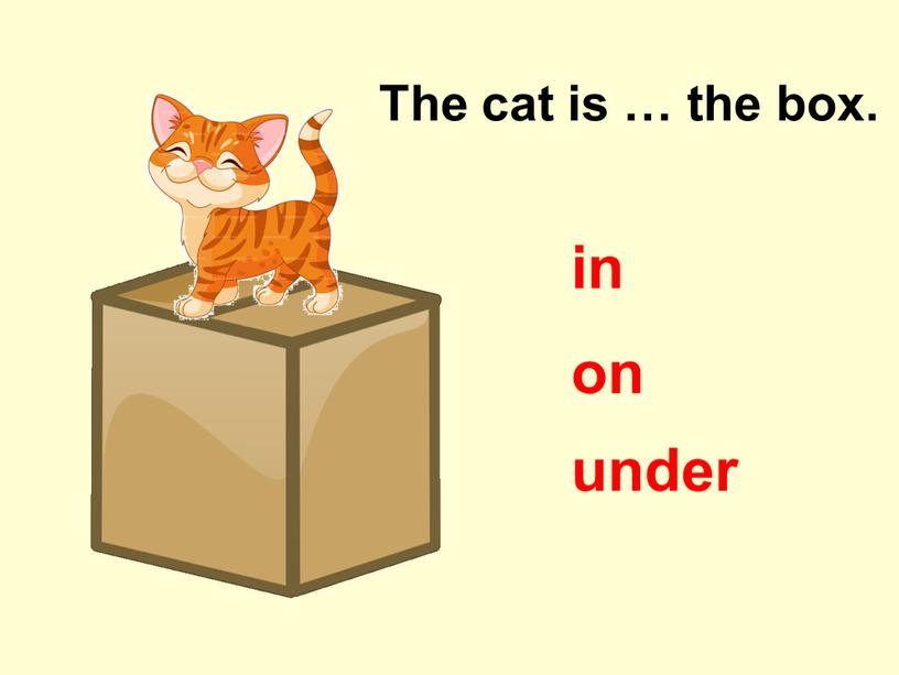 The cat is … the box. in on under