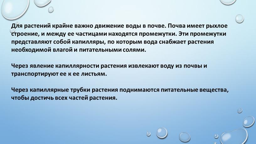 Для растений крайне важно движение воды в почве