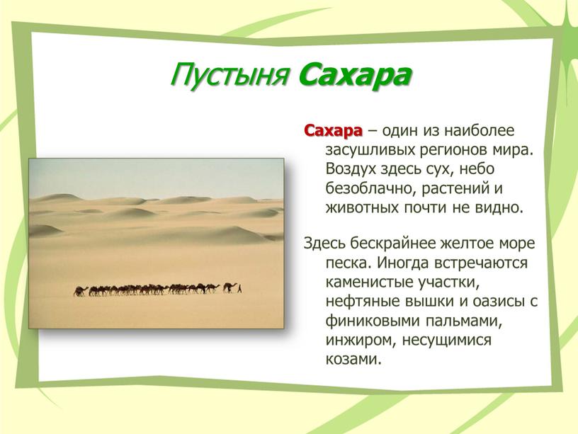 Пустыня Сахара Сахара – один из наиболее засушливых регионов мира