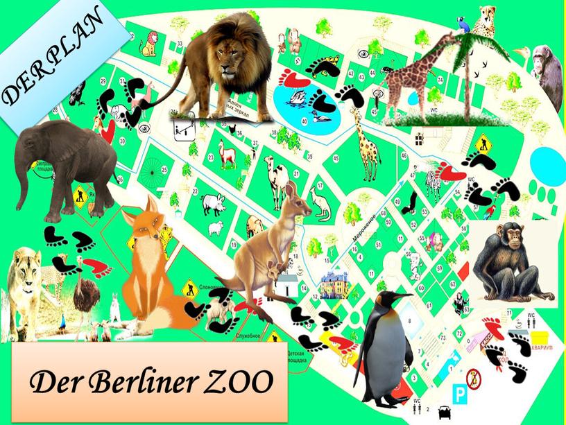 DER PLAN Der Berliner ZOO