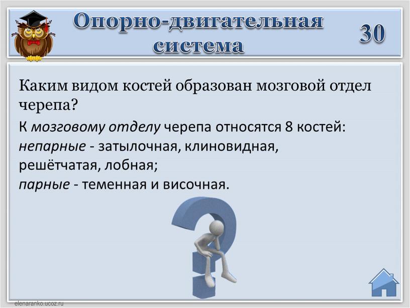 К мозговому отделу черепа относятся 8 костей: непарные - затылочная, клиновидная, решётчатая, лобная; парные - теменная и височная