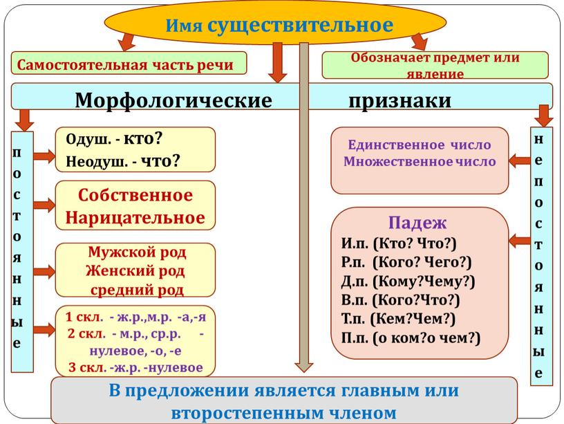 Имя существительное Собственное