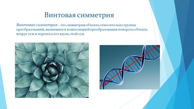 Винтовая симметрия Винтовая симметрия - это симметрия объекта относительно группы преобразований, являющихся композицией преобразования поворота объекта вокруг оси и переноса его вдоль этой оси