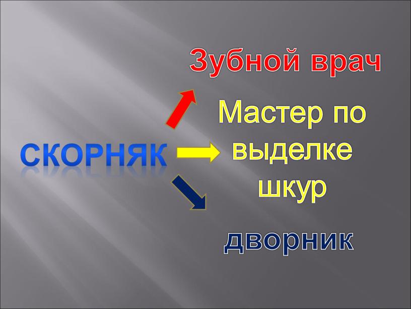 Скорняк Зубной врач Мастер по выделке шкур дворник