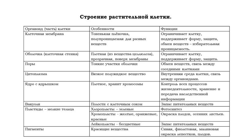 Органоид (часть) клетки Особенности