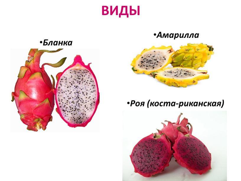 ВИДЫ Бланка Роя (коста-риканская)